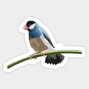 Java Sparrow on a Twig Sticker